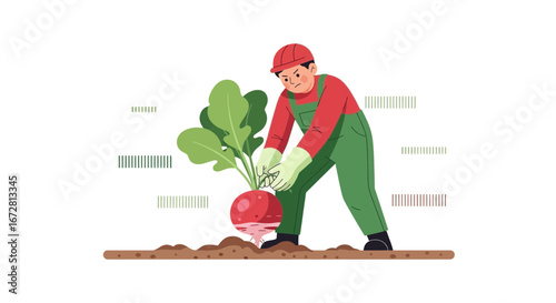 Farmer Harvesting Radish in a Garden, Illustrating Agricultural Labor and Cultivation