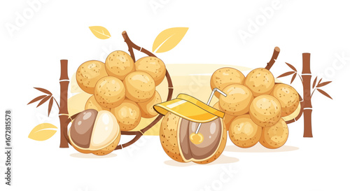 Fresh Tropical Longan Fruit Delightful Asian Sweet Snack Still Life Composition