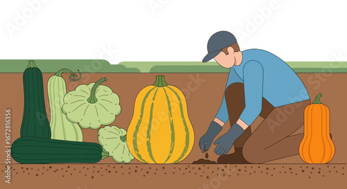 Farmer Sowing Seeds Near Harvest, Surrounded By Various Autumnal Gourds