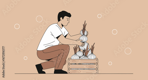 Farmer Stacking Freshly Harvested Onions into a Wooden Crate for Storage or Sale