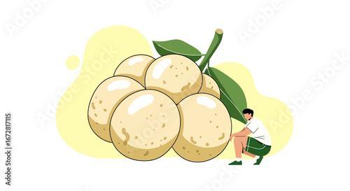 Freshly Harvested Longan Fruit with a Person in a Modernistic Illustration Style.