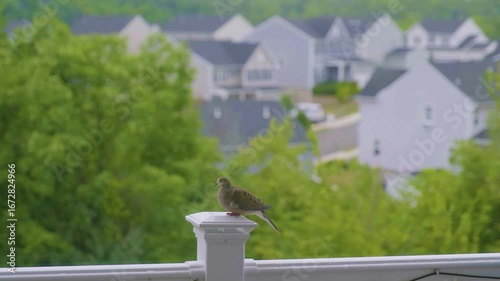Bird perched on railing with green landscape and houses in background
