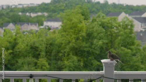 Bird perched on railing with green landscape and houses in background