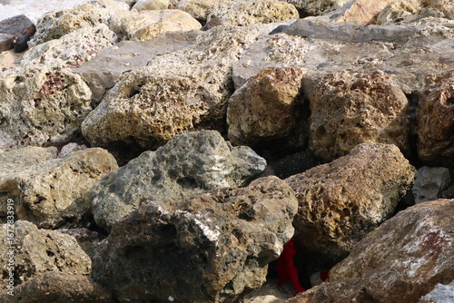 Wallpaper Mural large wave breaker rock texture Torontodigital.ca