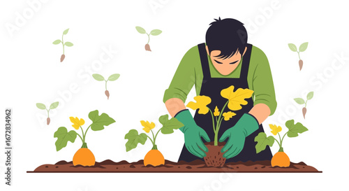 Gardener Gently Planting Seedlings in Rich Soil, Cultivating a Thriving Crop