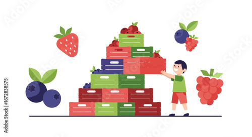 Harvest Boy Stacking Crates With Berries, Strawberries, Raspberries, And Blueberries