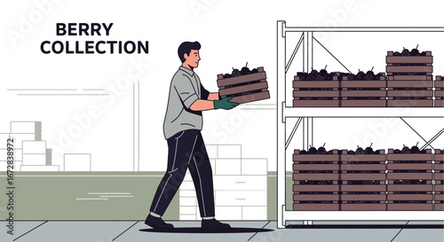 Harvested Berries Stored In Warehouse Showing Food Production System And Workflow