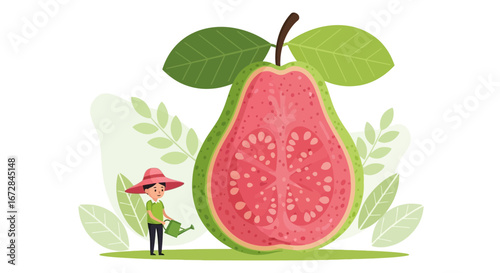 Illustration Of A Gardener Watering A Giant Ripe Guava Fruit In A Garden Setting