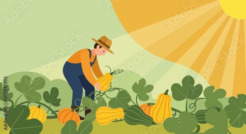 Harvesting Pumpkins Under The Warm Sunlight In A Picturesque Farming Scene