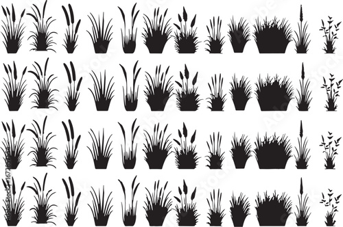 grass, reed, plant, nature, silhouette, black, collection, set, illustration, drawing, graphic, design, element, vegetation, flora, field, meadow, marsh, wetland, growth, texture, pattern, botanical, 