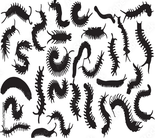 centipede, millipede, insect, arthropod, invertebrate, creature, bug, creepy crawly, segmented body, many legs, silhouette, black and white, outline, pattern, collection, set, illustration, drawing, n