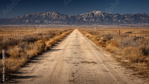 Long, dusty dirt road stretches to distant, snowy mountains under a clear sky. Brown shrubs line the path
