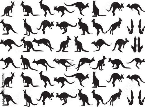 kangaroo, silhouette, marsupial, animal, wildlife, australia, hopping, jumping, standing, running, paw print, track, outline, black and white, vector, graphic, nature, mammal, fauna, movement, action,