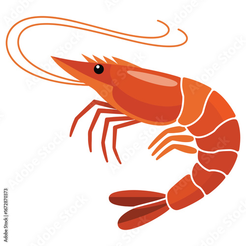 cooked shrimp on white