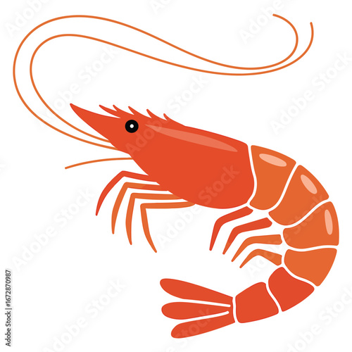 shrimp on a white background