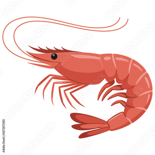 shrimp on a white background