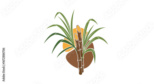 Agricultural Action in Tropical Fields Illustrating Sustainable Farming Practices