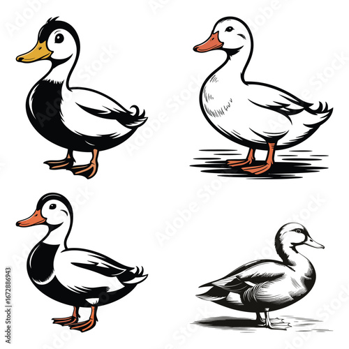 duck and ducklings