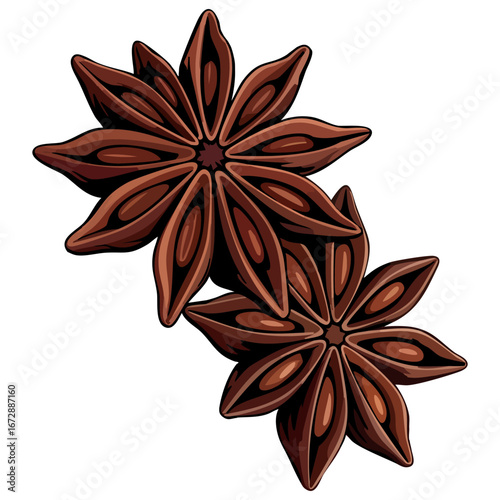 Anise stars isolated on white background, flat vector illustration symbolizing spice, flavor, culinary ingredients, herbal medicine, cooking design and aromatic kitchen related themes in clean style