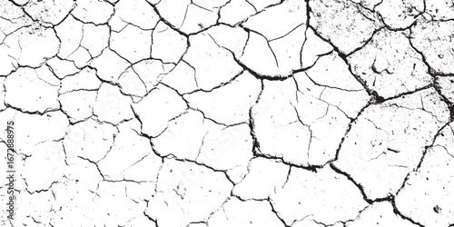 Abstract Black and White Dry Cracked Earth Texture