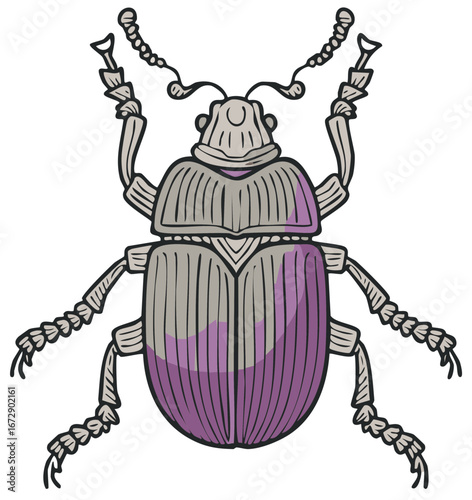 Illustration of a stylized beetle with purple and gray tones, isolated view.