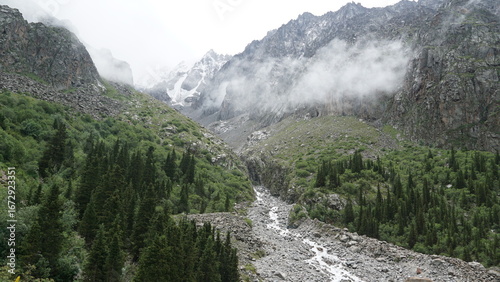 Mist over the mountain forest and river