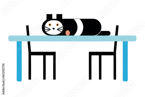 Black and white cat lying on a light blue table with chairs animal cute