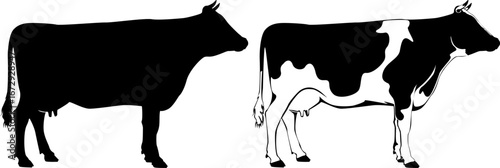 Dairy milk cow black and white cow.cute farm animals with udder and spots.Isolated flat vector illustrations