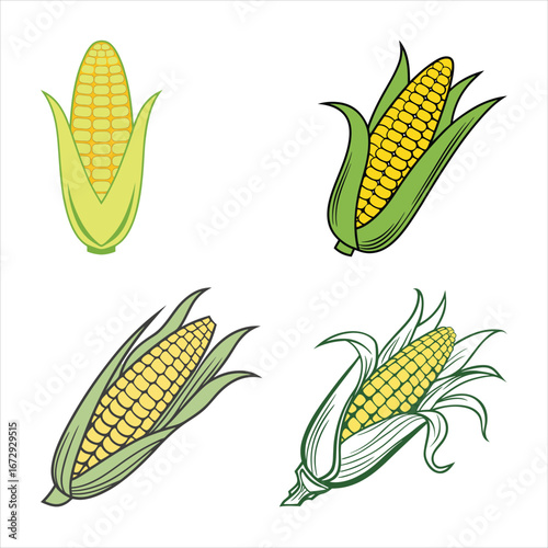 Simple Corn Illustration for Digital Design