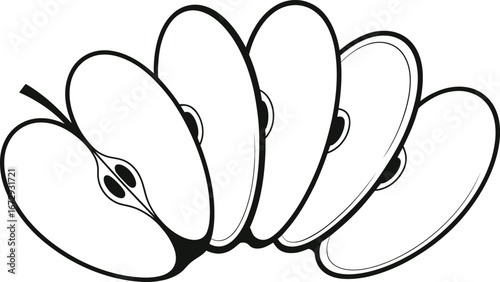 Hand drawn illustration of sliced apple segments in a fan shape