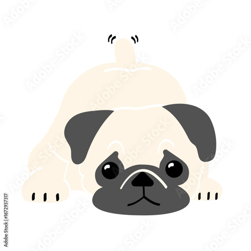 パグ1（ふせ）