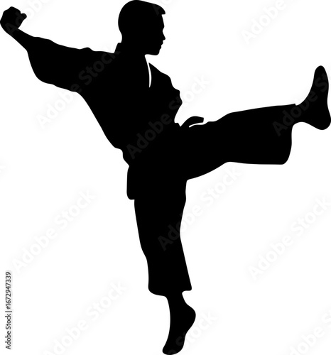 silhouette of a pencak silat practitioner delivering a high kick while balancing on one leg