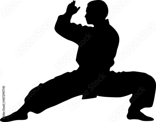 silhouette of a pencak silat athlete action pose
