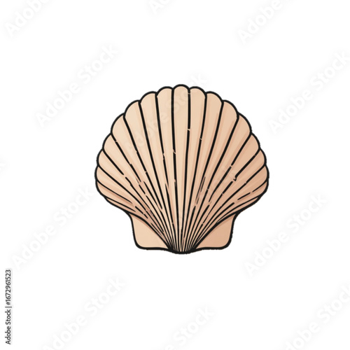 Flat colored sea shell vector illustration