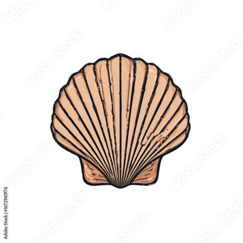 Flat colored sea shell vector illustration