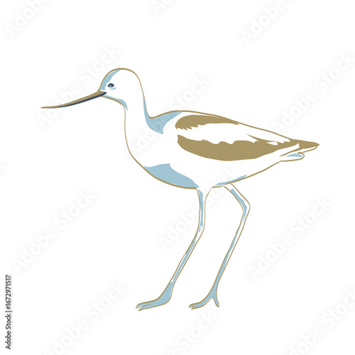 WPA poster art of an American Avocet or Recurvirostra americana viewed from side done in works project administration or Art Deco style.
