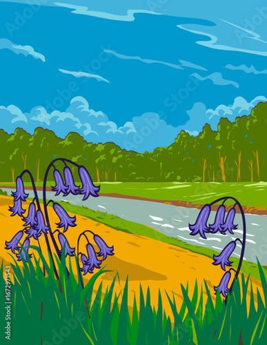 WPA poster art of bluebells in Bull Run Regional Park located in Centreville, Virginia near Bull Run Occoquan Stream valley, USA done in works project administration or federal art project style.