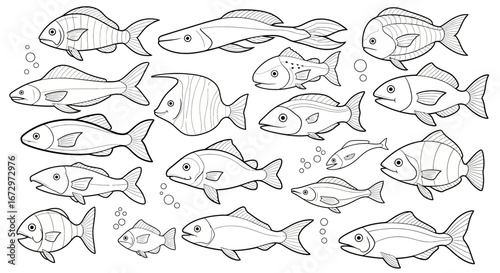 Collection of Various Hand Drawn Fish Species Doodles, Isolated White Background