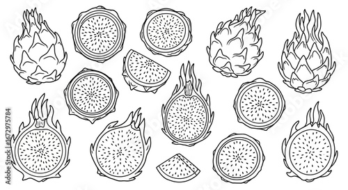 Collection of whole and sliced dragon fruit, featuring internal textures, on an isolated white background, suitable for a coloring page.