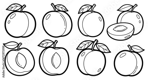 Outline drawing of fresh plums, whole and halved, on isolated white background for coloring book