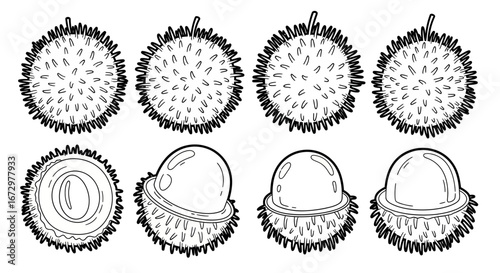 Black and white outline of whole and opened durians, the "king of fruits," known for their spiky exterior, on an isolated white background.