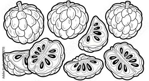 Black and white outline of whole and sliced custard apples, a sweet tropical fruit, on an isolated white background for coloring book.