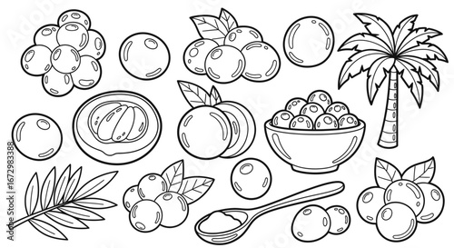 Healthy Acai Berries with Palm Tree, Spoon, and Leaves, Isolated White Background for Coloring