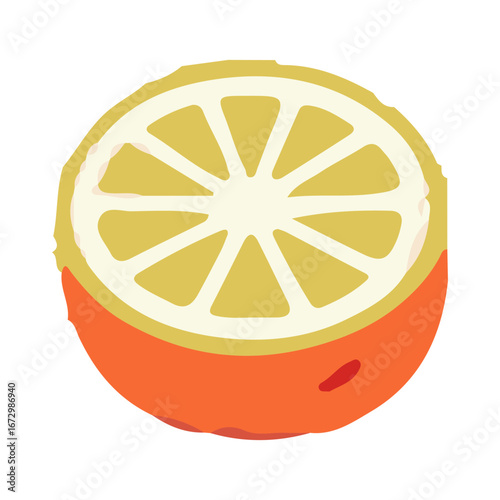 lemon illustration design