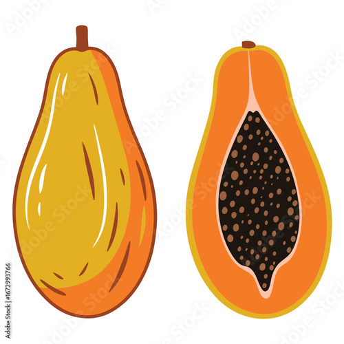 Whole and halved papaya fruit with seeds vector