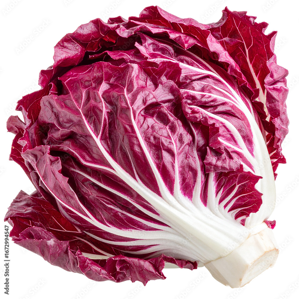 Obraz premium Radiant Red Cabbage Head Isolated On White Background: A vibrant, close-up shot of a freshly harvested red cabbage head, showcasing its intricate texture and rich. 