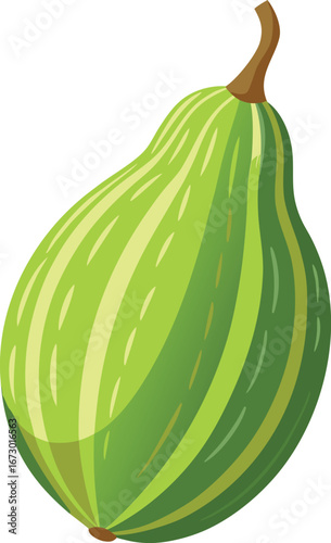 Bitter Gourd  Image With White Background