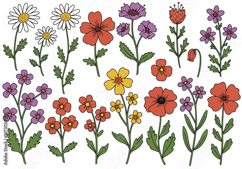 Vibrant collection of hand-drawn wildflowers in various colors and styles, perfect for spring designs. Set of decorative floral doodles elements. Flat cartoon vector illustration.