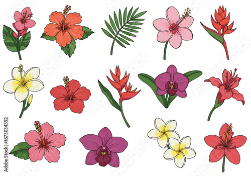 Vibrant tropical floral collection featuring hibiscus, orchids, plumeria, and heliconia in various colors. Set of decorative floral doodles elements. Flat cartoon vector illustration.