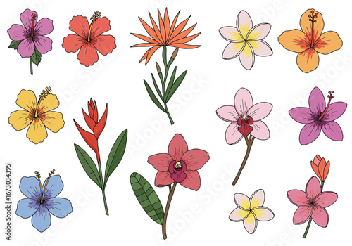 Vibrant collection of tropical flowers including hibiscus, plumeria, and orchids in various colors. Set of decorative floral doodles elements. Flat cartoon vector illustration.